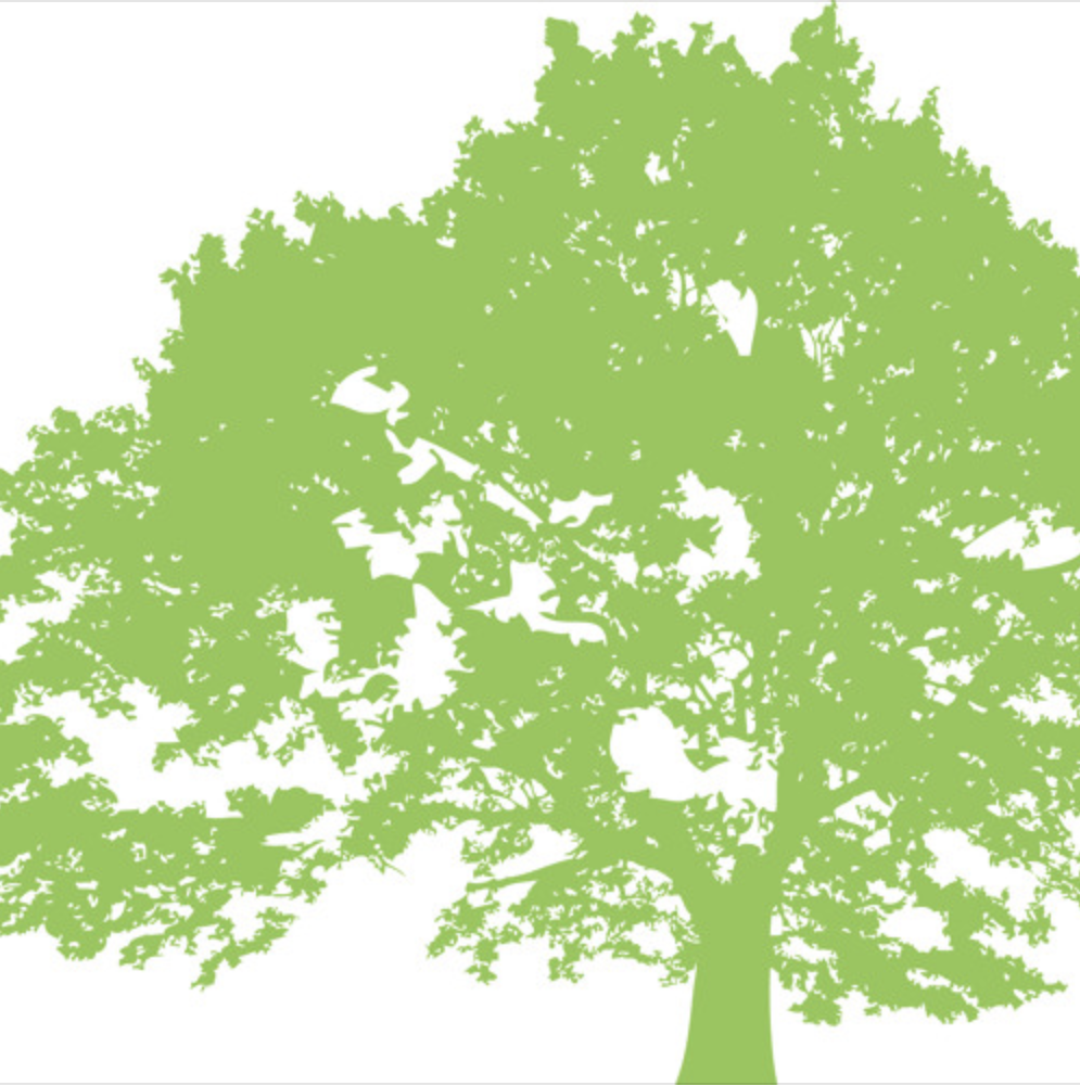 Stand-Alone Messages